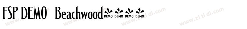 FSP DEMO   Beachwood字体转换